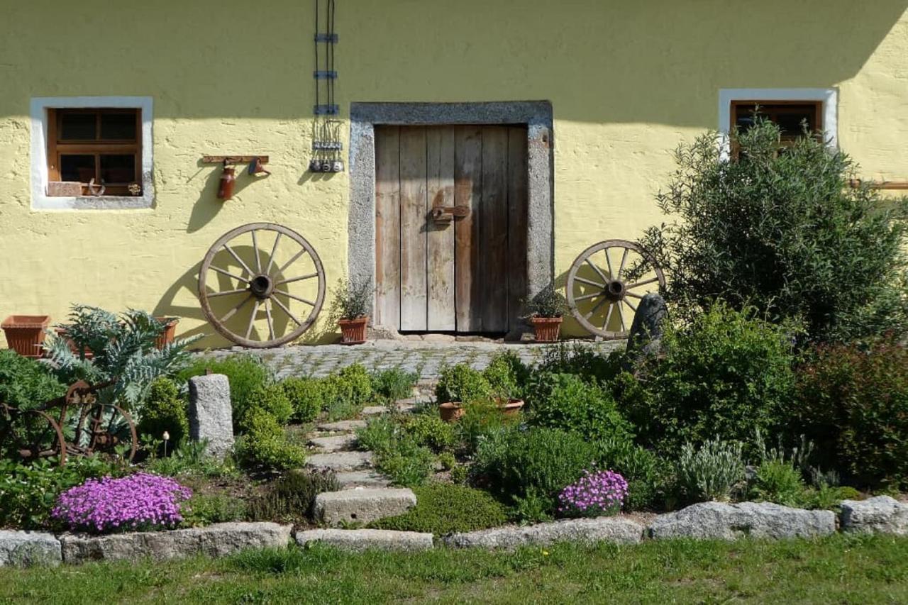 Ferienwohnung Schindler Nittenau Bagian luar foto